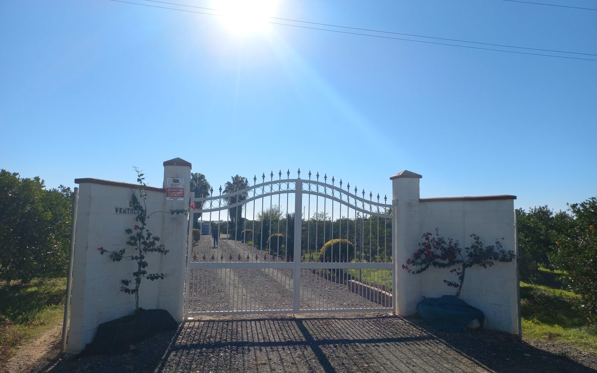 Huerta para recreo 1 hectárea naranjos LORA DEL RIO