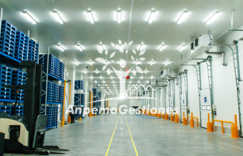 11.000m2, naves camaras frigoríficas, muelles