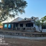 Chalet, terreno 4.000m2, Urbanización Pajares